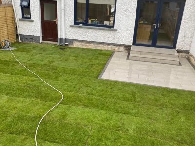 Artificial Grass